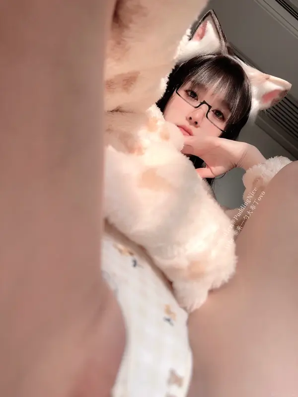 布丁大法 – NO.045 芝士猫 5